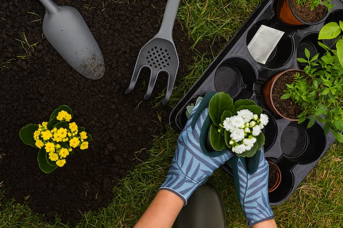 Dekoracyjna ikona sekcji